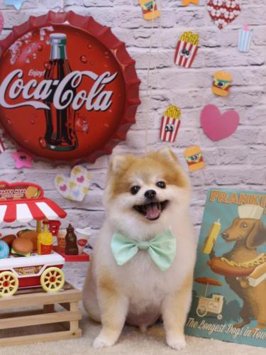 20230909モコくん